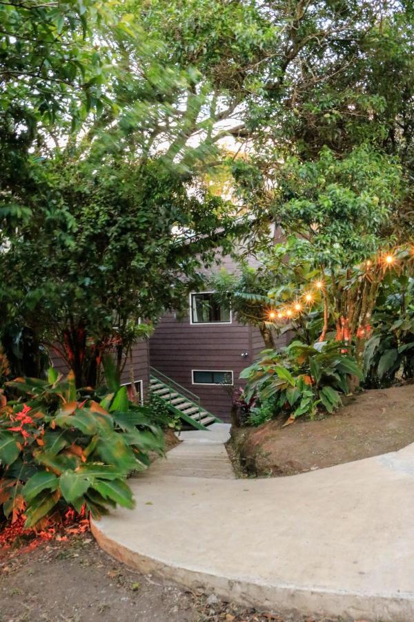 Moon Forest Apartments Monteverde Exterior photo