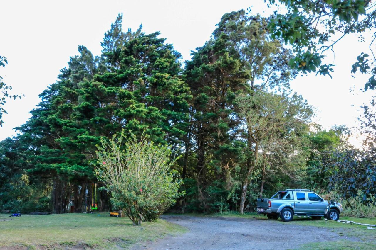 Moon Forest Apartments Monteverde Exterior photo