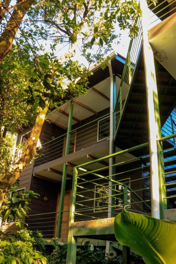 Moon Forest Apartments Monteverde Exterior photo